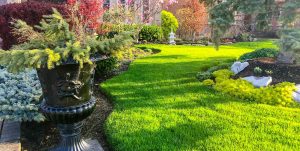 Lawn Care Services in Moncks Corner, SC