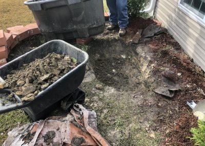 Professional Landscaping Services