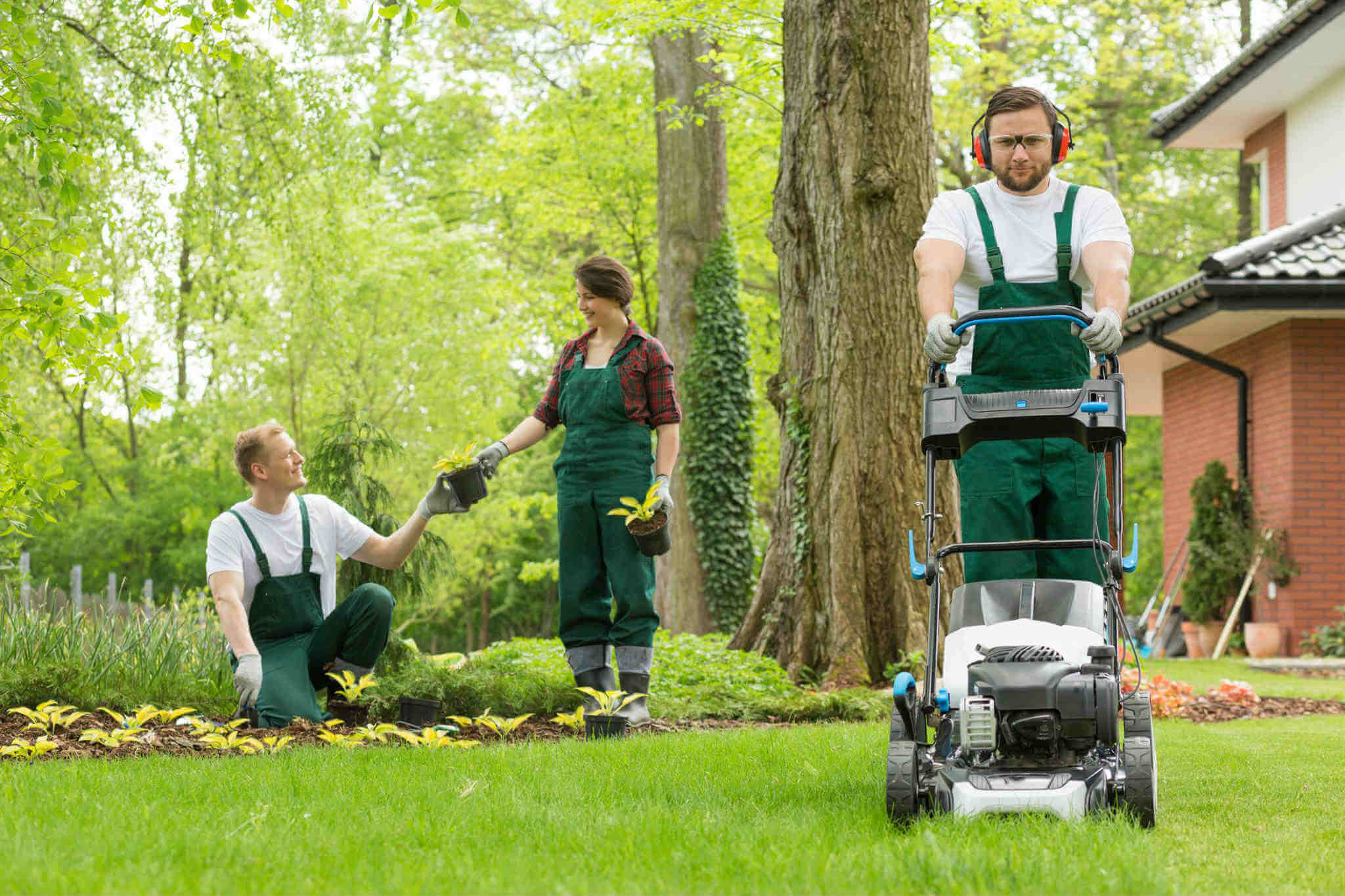 Lawn care services in Bethera, SC Lawn care services