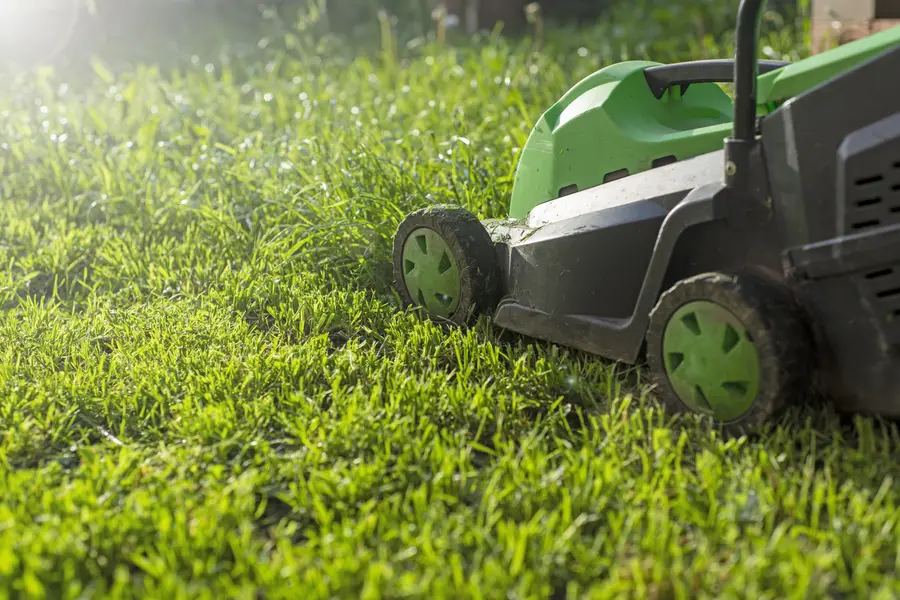 Choosing Reliable Lawn Mowing Services For Homeowners in Moncks Corner, SC Choosing Reliable Lawn Mowing Services For Homeowners in Moncks Corner, SC
