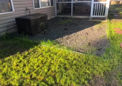 Experienced Landscaping Services
