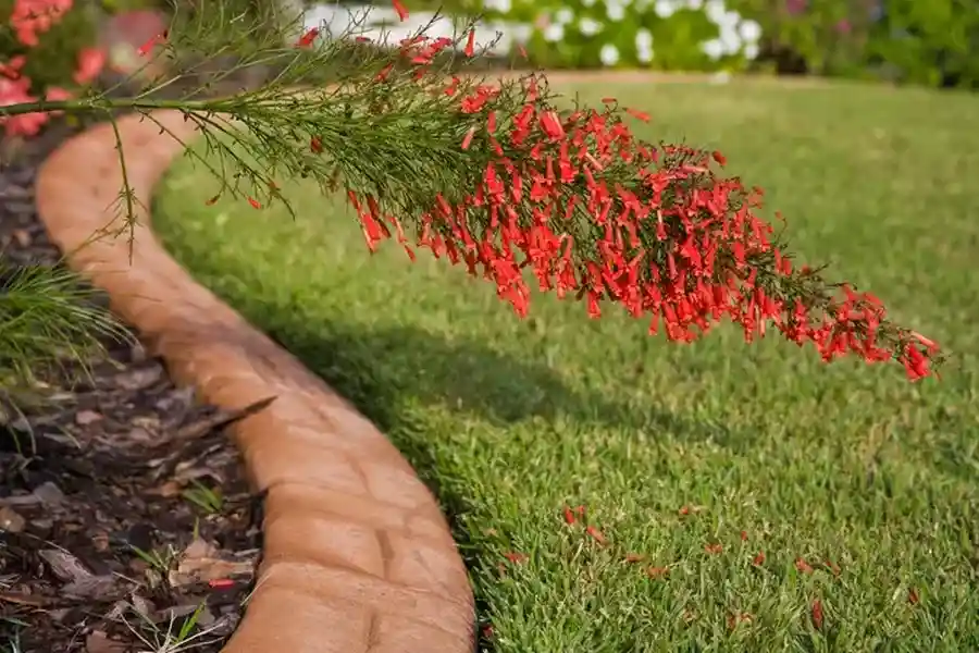 Expert Lawn Edging Moncks Corner, SC Expert Lawn Edging Moncks Corner, SC