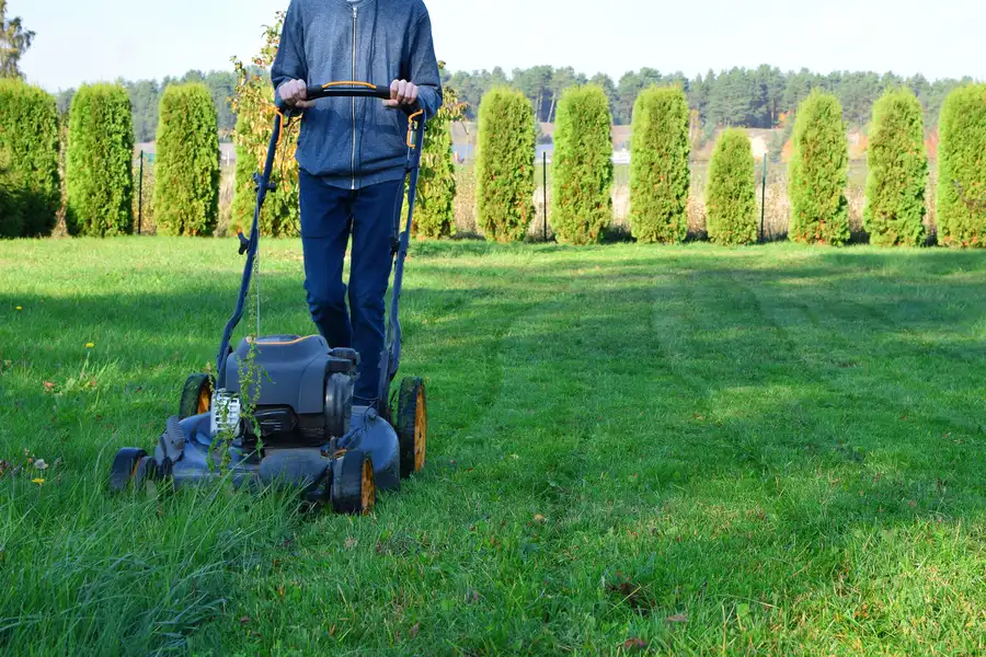 How Lawn Mowing Services Enhance Curb Appeal Moncks Corner, SC How Lawn Mowing Services Enhance Curb Appeal Moncks Corner, SC