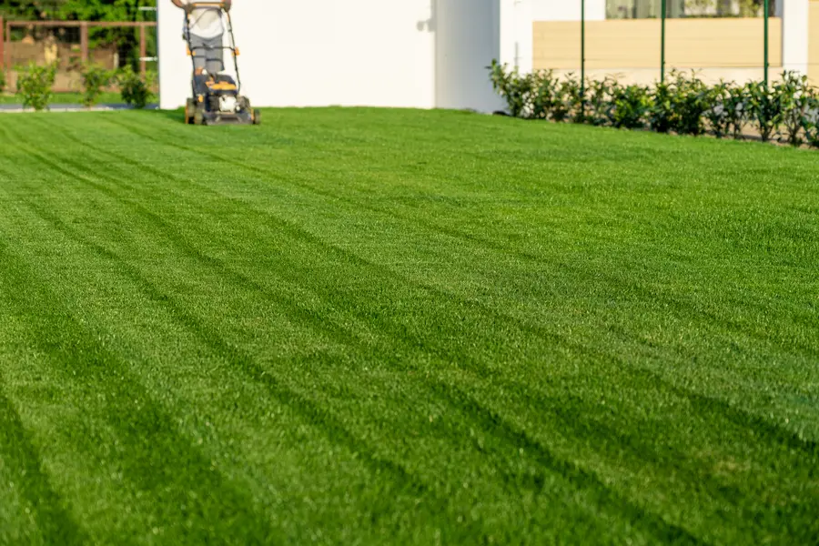 How Lawn Mowing Services Enhance Curb Appeal in Moncks Corner, SC How Lawn Mowing Services Enhance Curb Appeal in Moncks Corner, SC