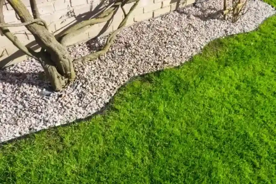 Lawn Edging Techniques For Long Lasting Results in Moncks Corner, SC Lawn Edging Techniques For Long Lasting Results in Moncks Corner, SC