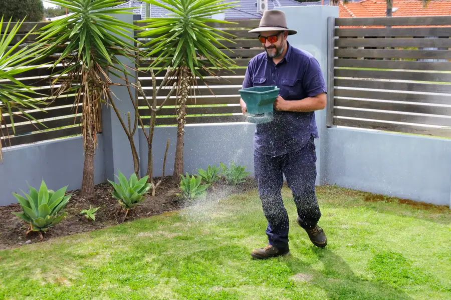 Lawn Feeding And Growth Benefits Moncks Corner, SC Lawn Feeding And Growth Benefits Moncks Corner, SC
