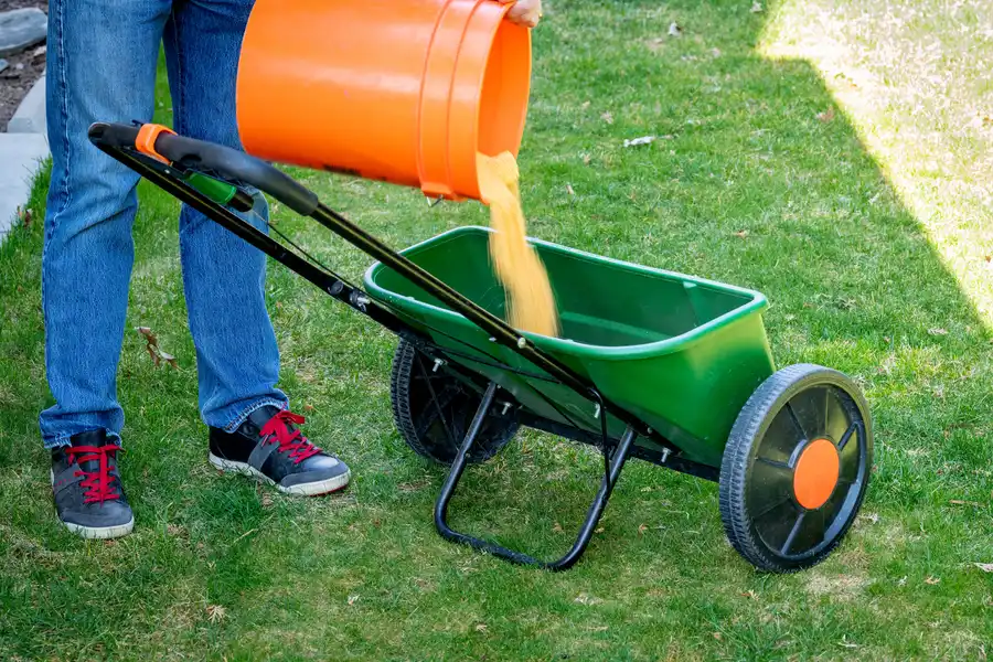 Lawn Feeding And Growth Benefits in Moncks Corner, SC Lawn Feeding And Growth Benefits in Moncks Corner, SC