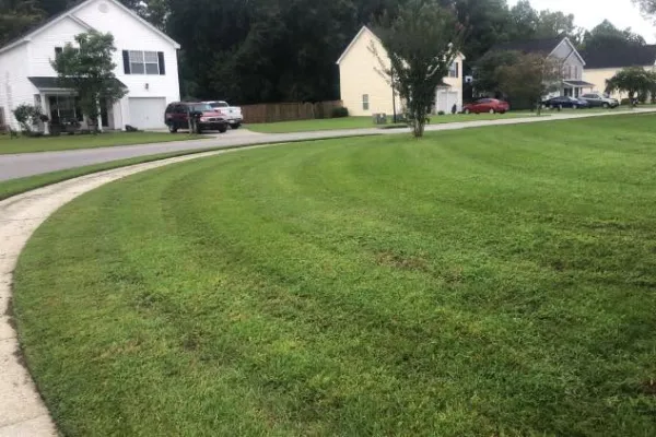 Lawn Mowing Services