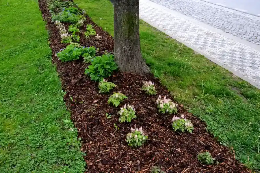 Local Mulch Installation Moncks Corner, SC Local Mulch Installation Moncks Corner, SC