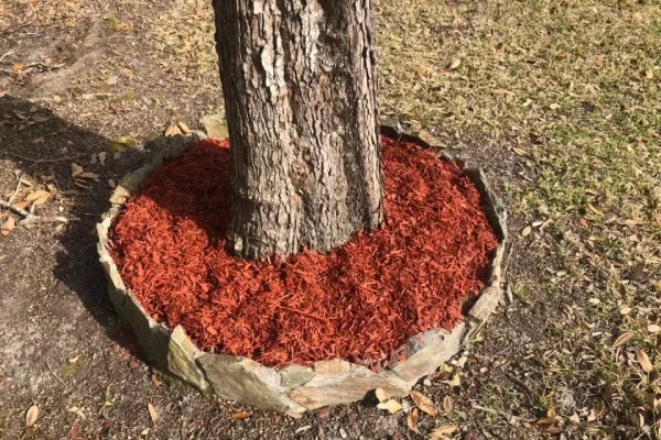 Mulch Installation