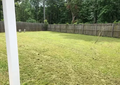 Professional Lawn Care Services