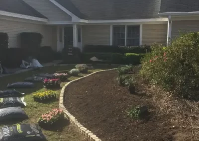 Professional Lawn Care Services