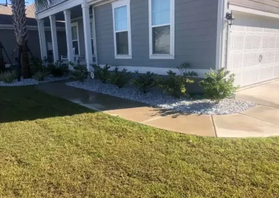 Professional Lawn Care Services