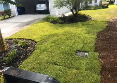 Professional Lawn Care Services