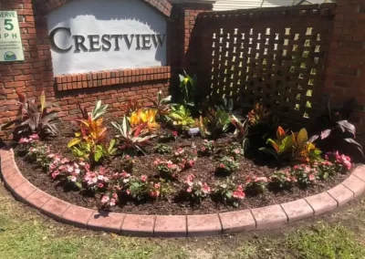 Professional Lawn Care Services