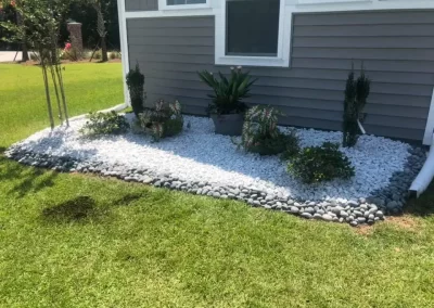 Professional Lawn Care Services