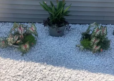 Professional Lawn Care Services