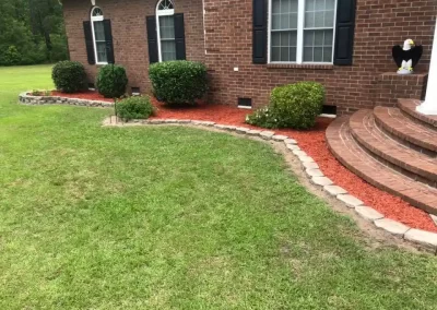 Professional Lawn Care Services