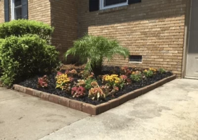 Professional Lawn Care Services