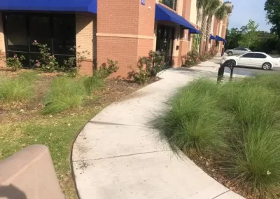 Professional Lawn Care Services