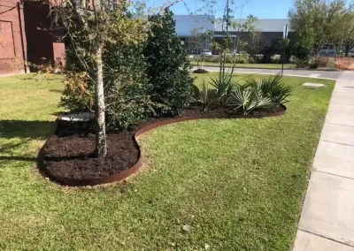 Professional Lawn Care Services