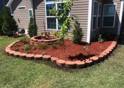 Professional Lawn Care Services