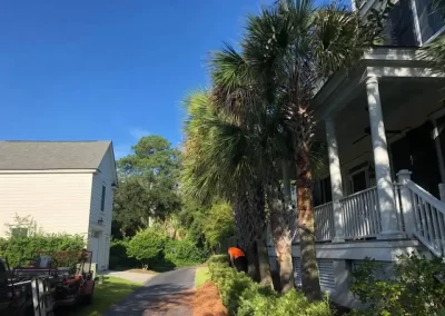 Professional Lawn Care Services