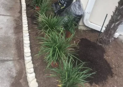 Professional Lawn Care Services