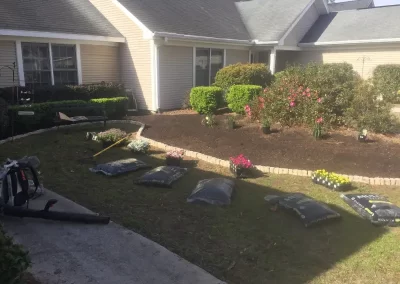 Professional Lawn Care Services