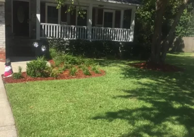 Professional Lawn Care Services