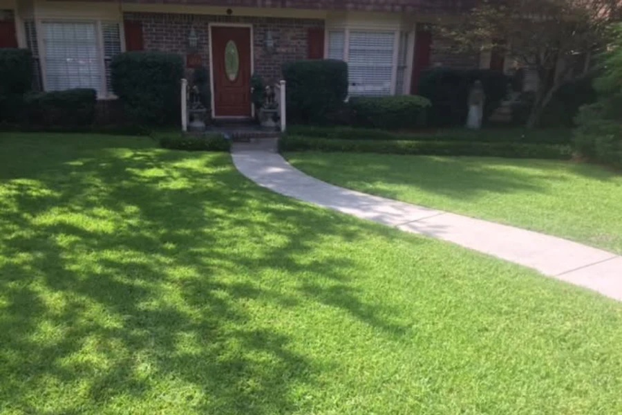 Professional Lawn Service in Moncks Corner, SC Professional Lawn Service in Moncks Corner, SC