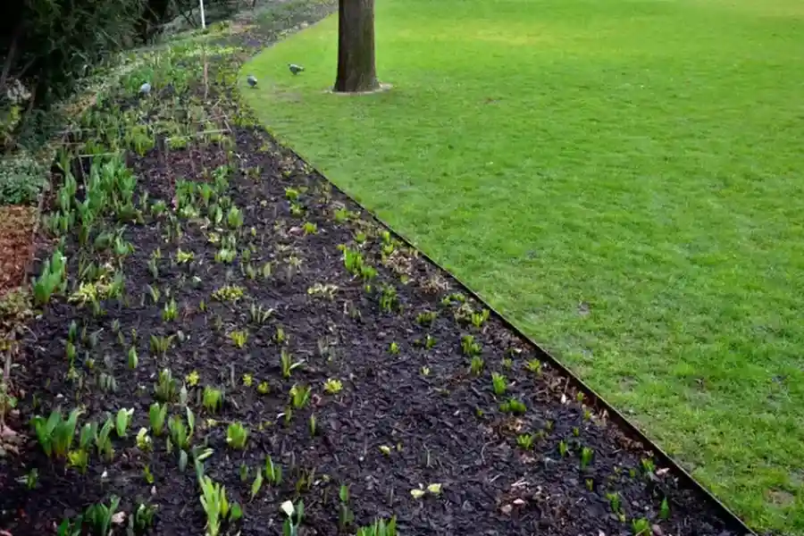 Reliable Lawn Edging Moncks Corner, SC Reliable Lawn Edging Moncks Corner, SC