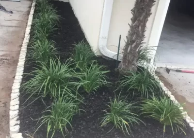 Skilled Commercial Lawn Care