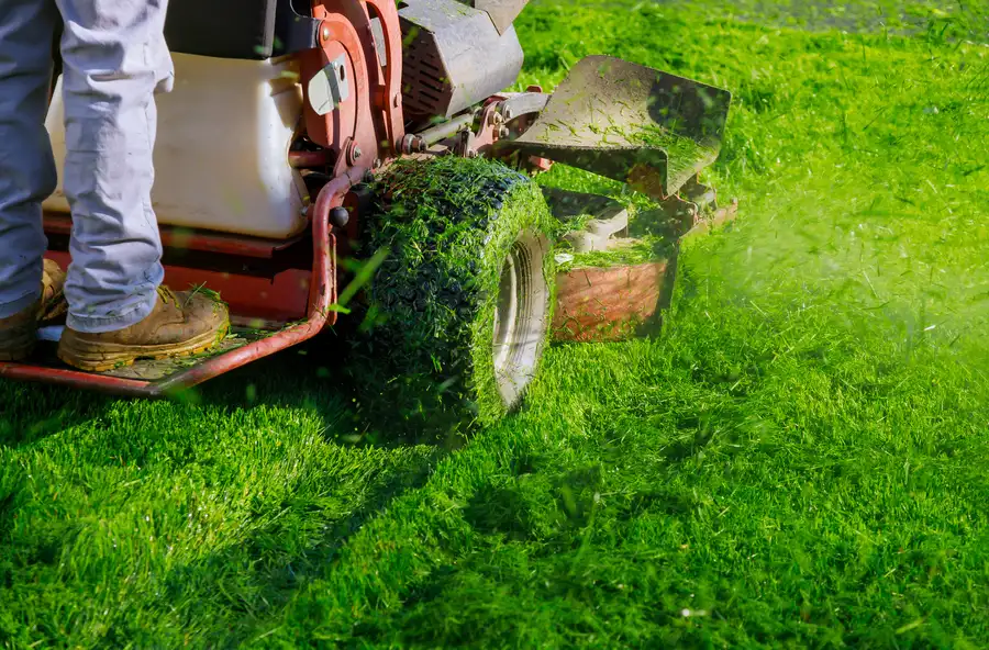 Top-rated Lawn Mowing Services Moncks Corner, SC Top-rated Lawn Mowing Services Moncks Corner, SC